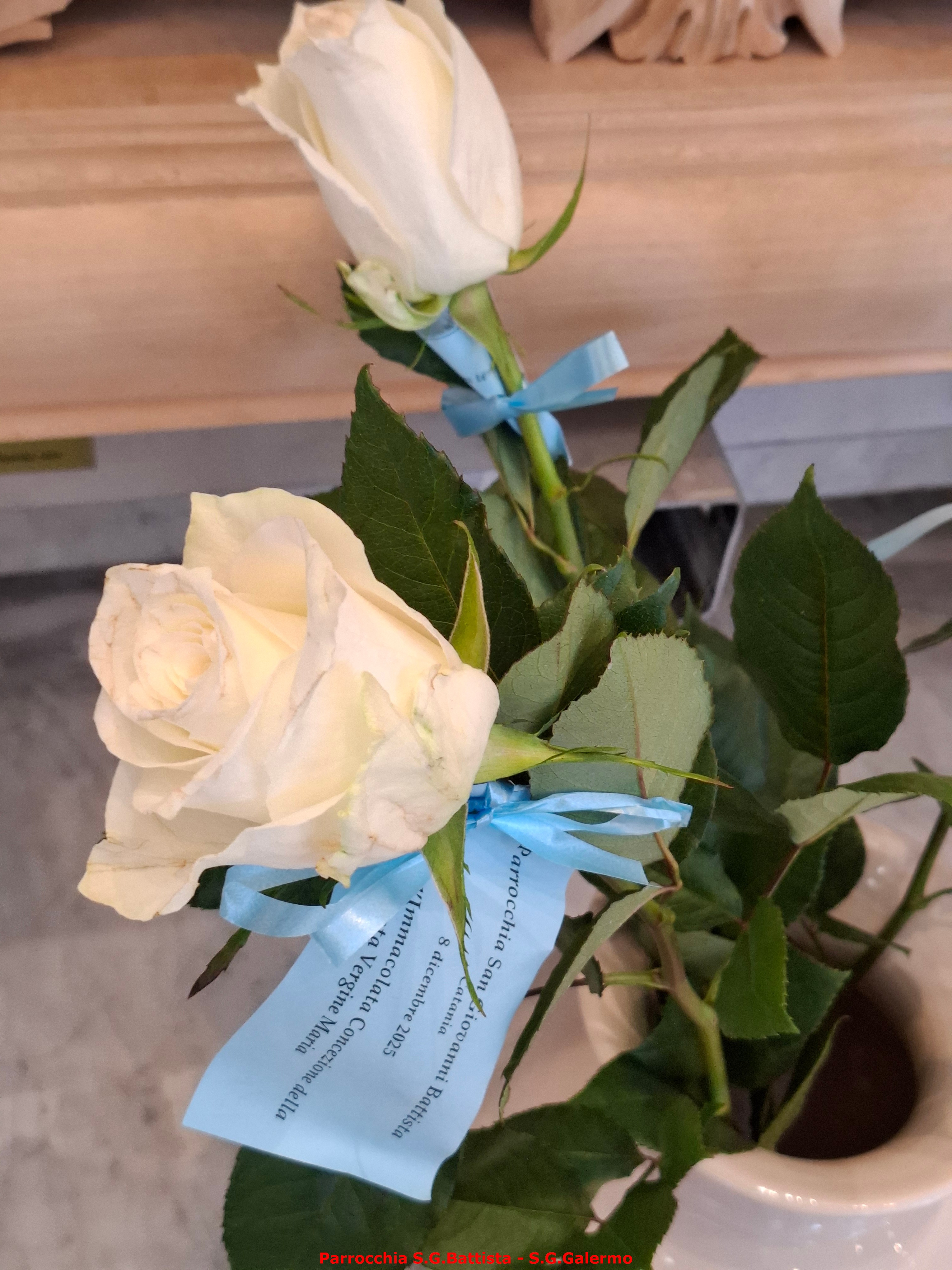 08/12/2025. Festa di Maria Immacolata.